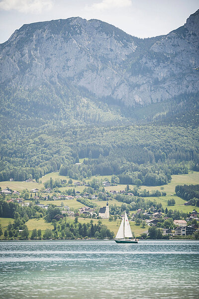 Steinbach in der Region Attersee-Attergau