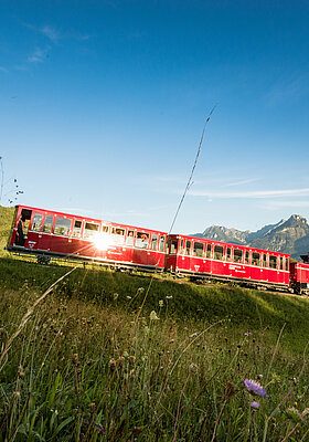 Schafbergbahn im Sonnenlicht